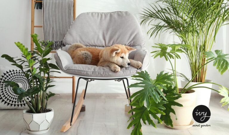 pet friendly plants