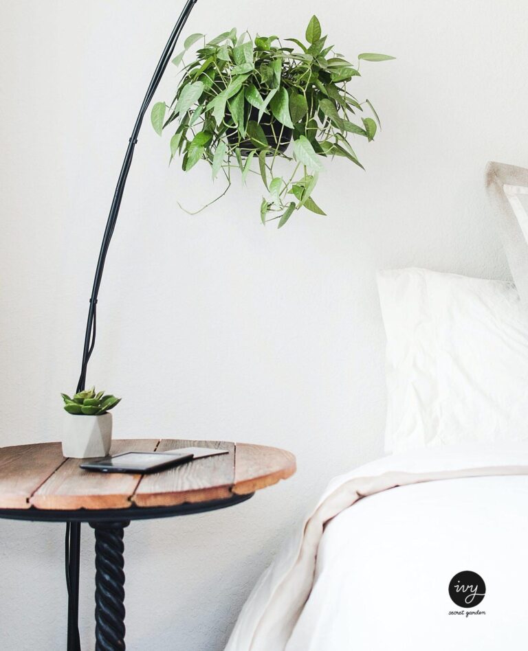 The perfect plants for your bedroom?