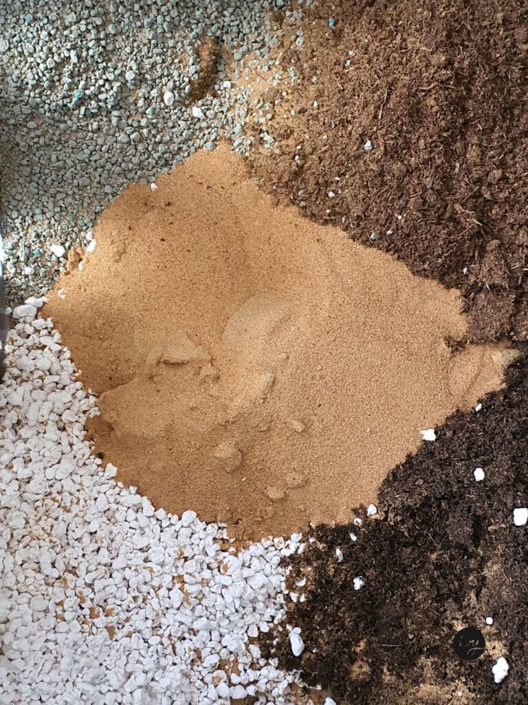 Organic cactus/ succulent potting soil