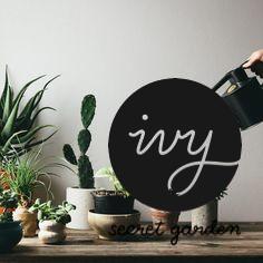watering plant