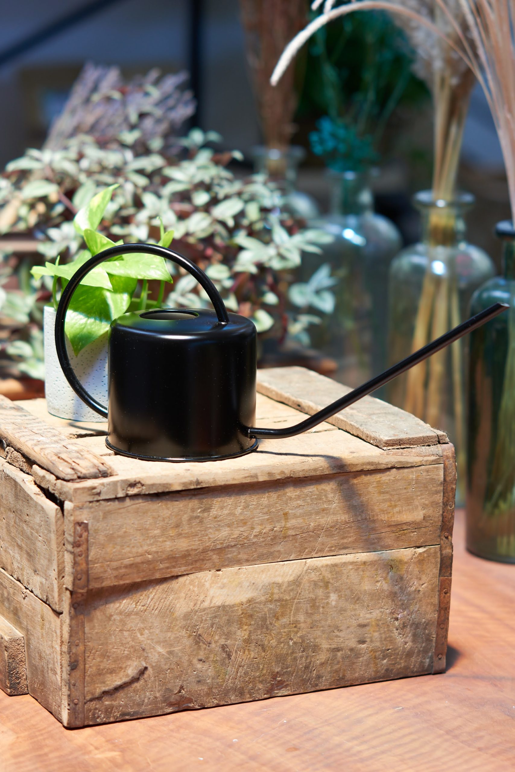 black watering can