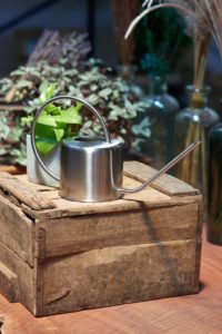 silver watering can