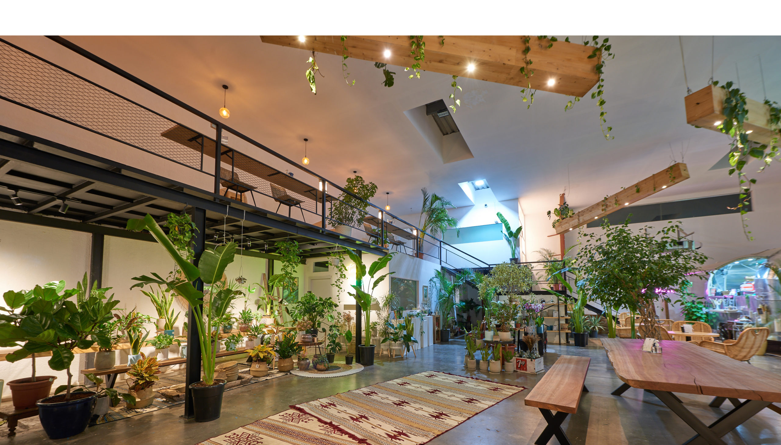 Ivy secret garden plant shop and cafe